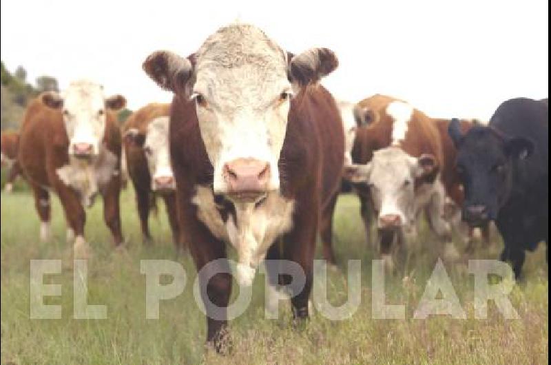 La ganaderÃ­a nacional estÃ¡ comprometida con la producciÃ³n sustentable.