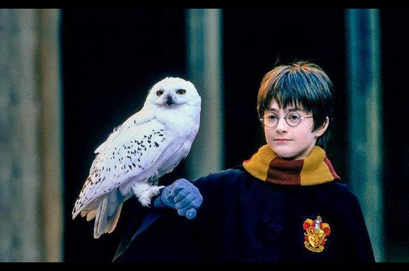 Los fans de Harry Potter celebran hoy a su personaje favorito en todo el mundo