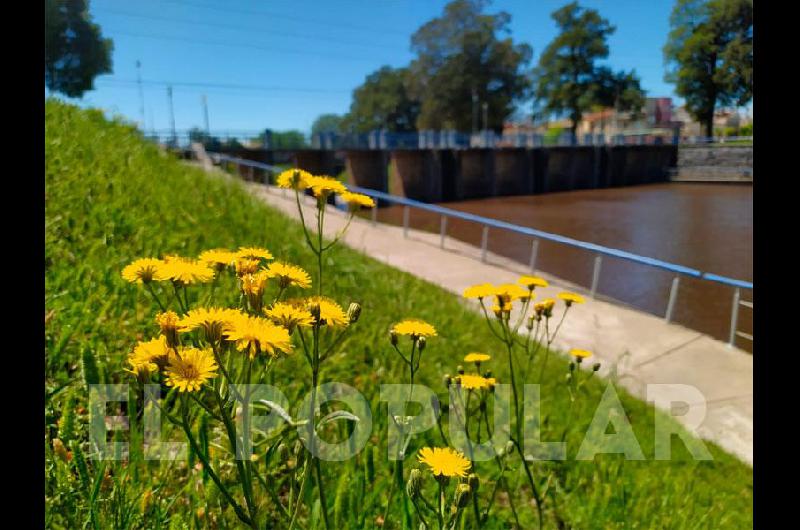 Olavarría se Prepara para un 28 de Diciembre Cálido: Temperaturas Elevadas y Vientos Moderados