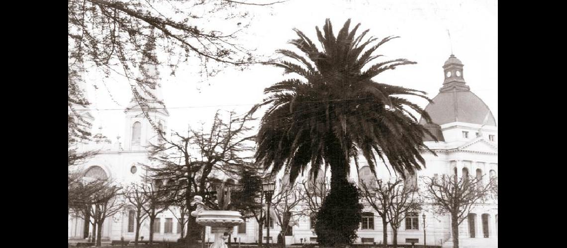 ColecciÃ³n Marcos RodrÃ­guez