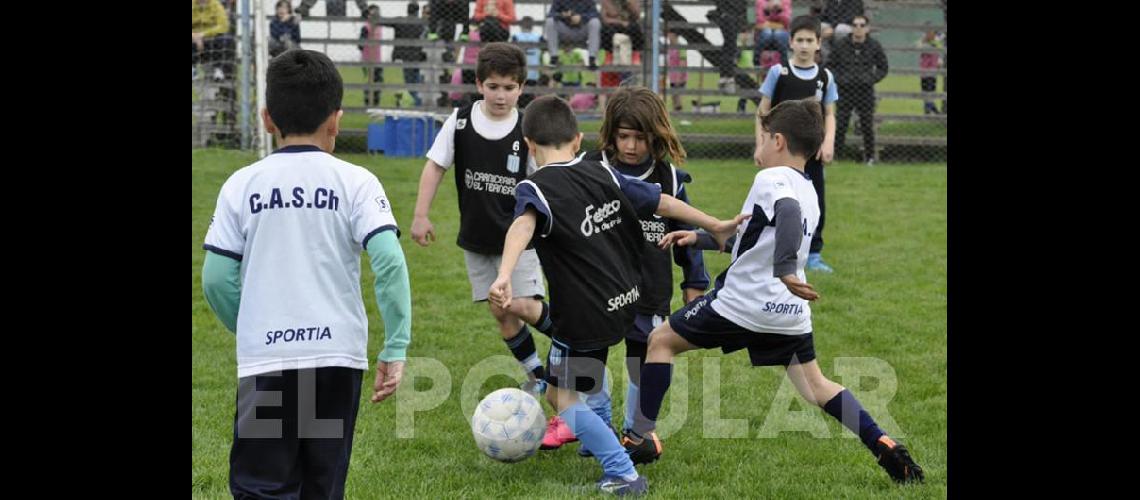 Prensa Ferro