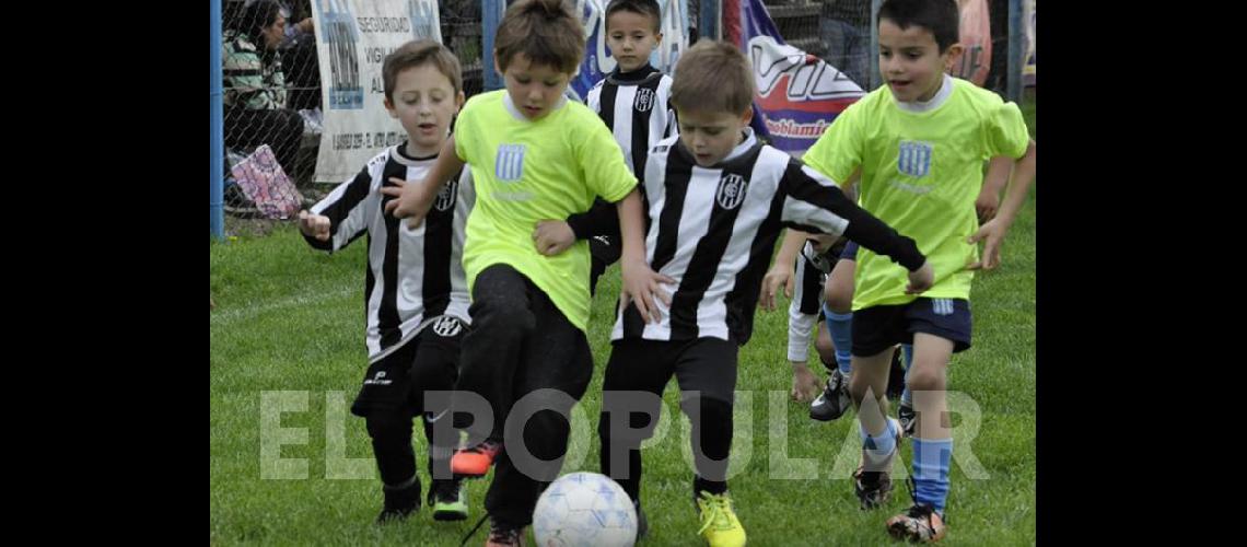 Prensa Ferro