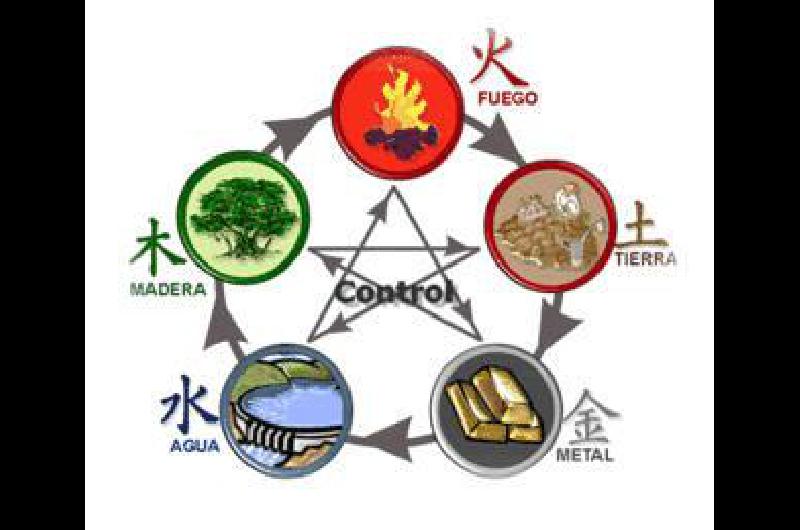 Los cinco elementos (Wu Xing)