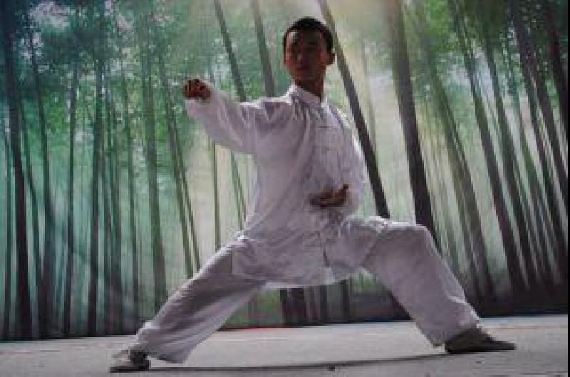 Kung Fu: Sistemas y estilos