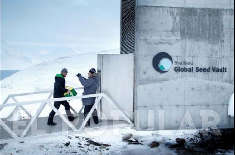 La mayor reserva mundial de semillas recibió esta semana un nuevo cargamento