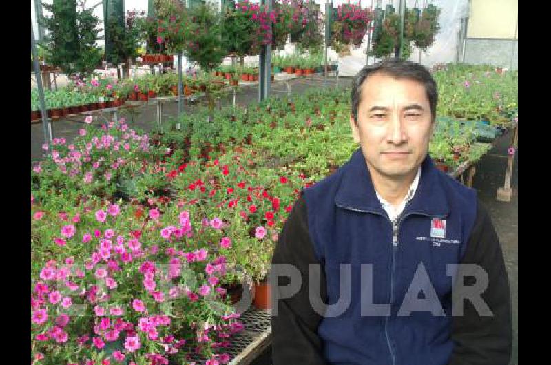 La flora argentina cuenta con más de 10 mil especies identificadas, muchas de ellas presentan registros de uso medicinal,