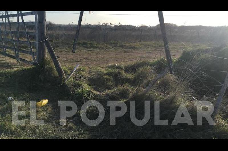 Rompieron el cerco ubicado sobre avenida Pellegrini.