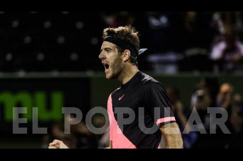 Del Potro avanza.
