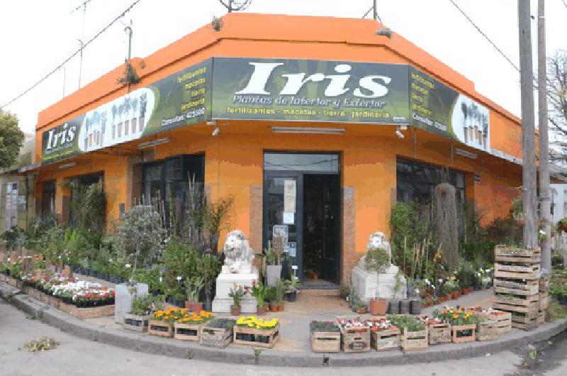 Vivero Iris, todo en verde