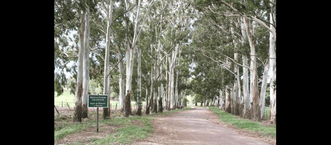El contacto con la naturaleza es parte de las reglas benedictinas.