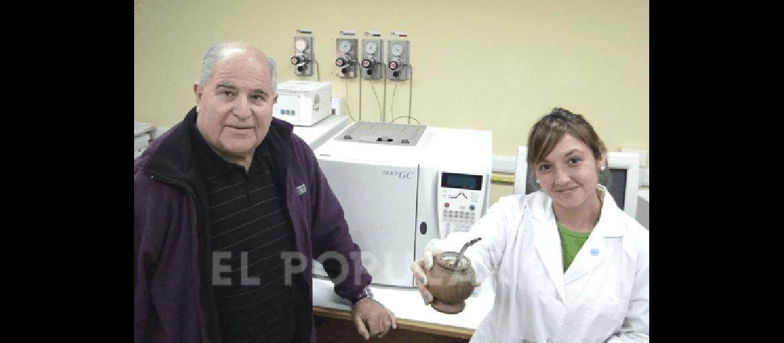 Ingeniería confirma que el mate  no tiene mateína sino cafeína