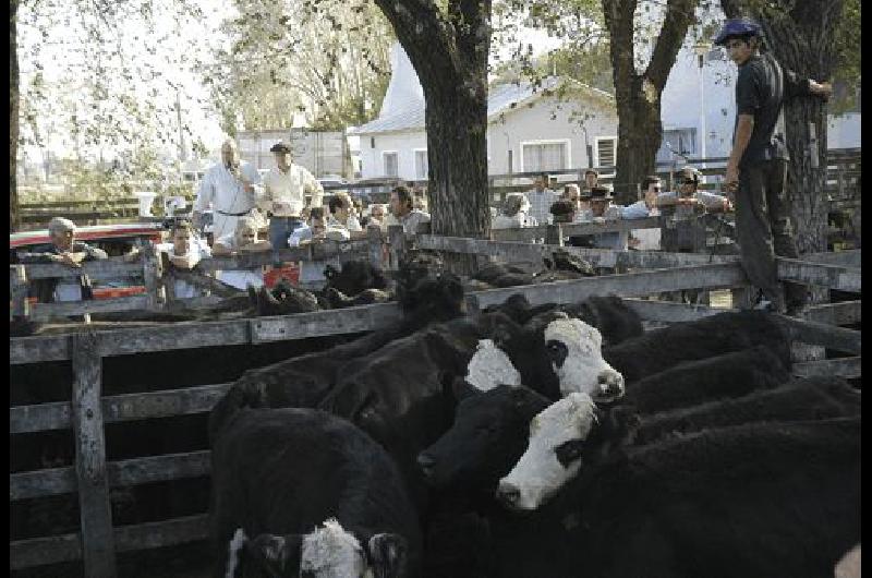 Esta semana se realizÃ³ el primer remate anual de Alzaga UnzuÃ© y CÃ­a. Carlos RamÃ­rez