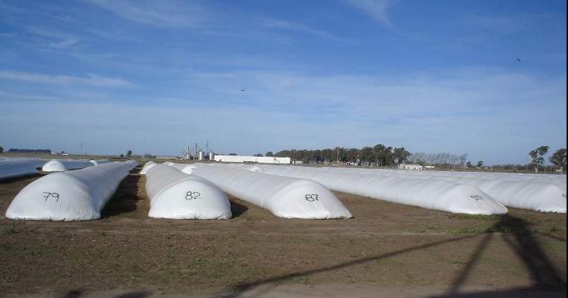 En el caso de almacenar trigo en silobolsa es importante lograr condiciones de hermeticidad adecuadas, ya que afecta a la respiración del grano y los microorganismos presentes.