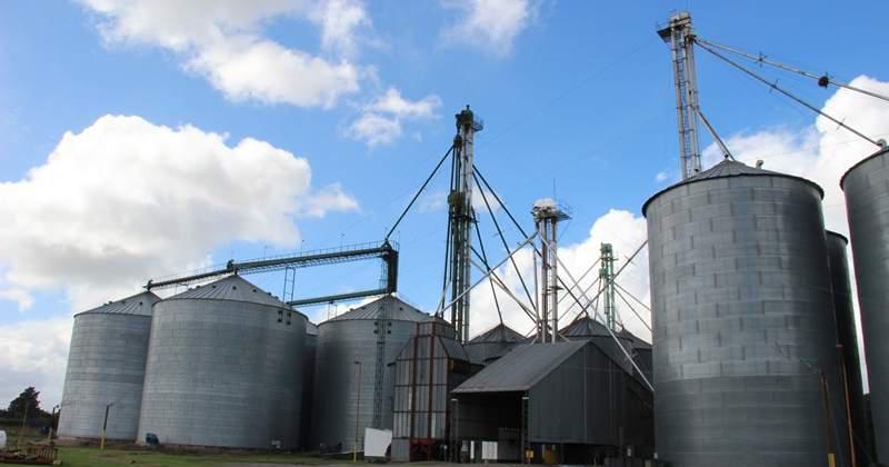 Al ingresar el grano a los silos puede ser necesario un acondicionamiento previo, es decir la prelimpieza o el descorazonado, como alternativas para lograr una aireación uniforme.