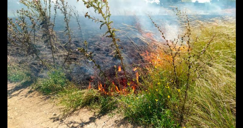 Incendio de pastos en barrio Nicolás Avellaneda