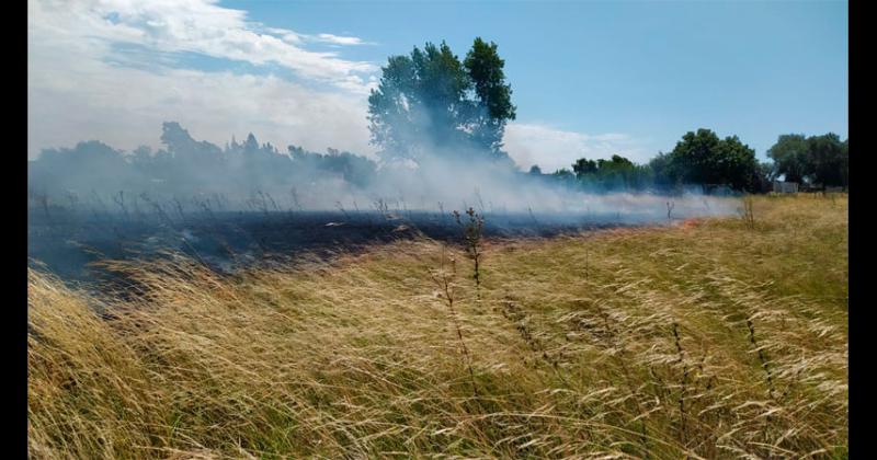 Incendio de pastos en barrio Nicolás Avellaneda
