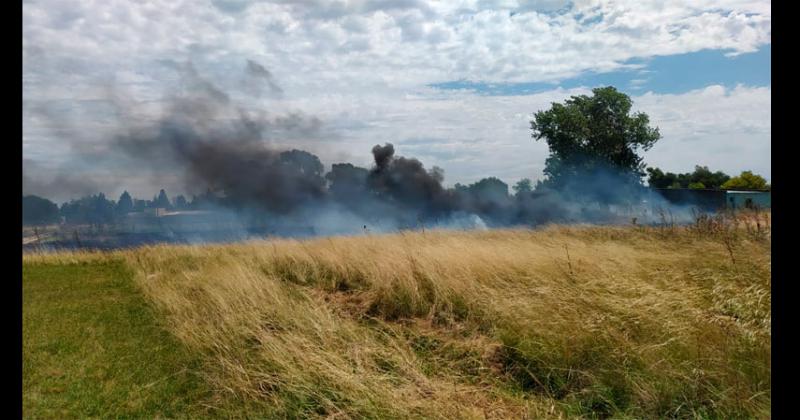 Incendio de pastos en barrio Nicolás Avellaneda