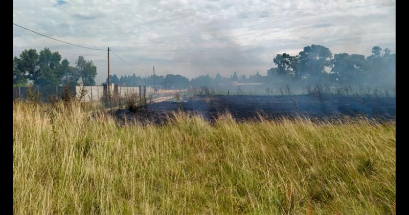 Incendio de pastos en barrio Nicolás Avellaneda
