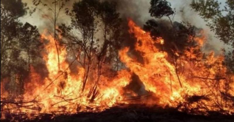 Los incendios en Corrientes.