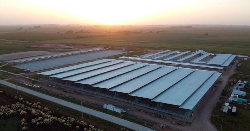 Falta al menos un mes más para el traslado definitivo del Mercado de Liniers al nuevo de Cañuelas.
