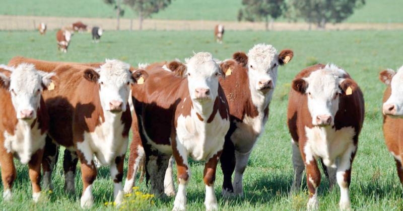 El distrito del sur de la provincia le dio nombre al “plan para productores progresistas”.