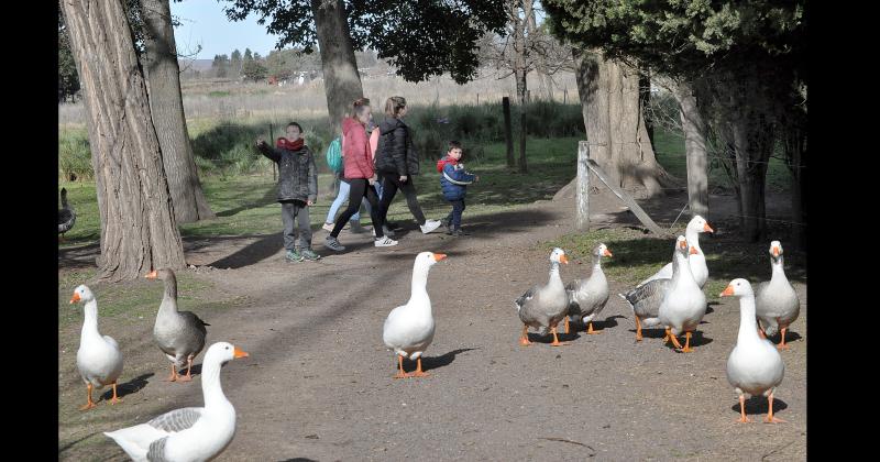 El Bioparque Municipal La Máxima, el "faro verde" de la ciudad de Olavarría