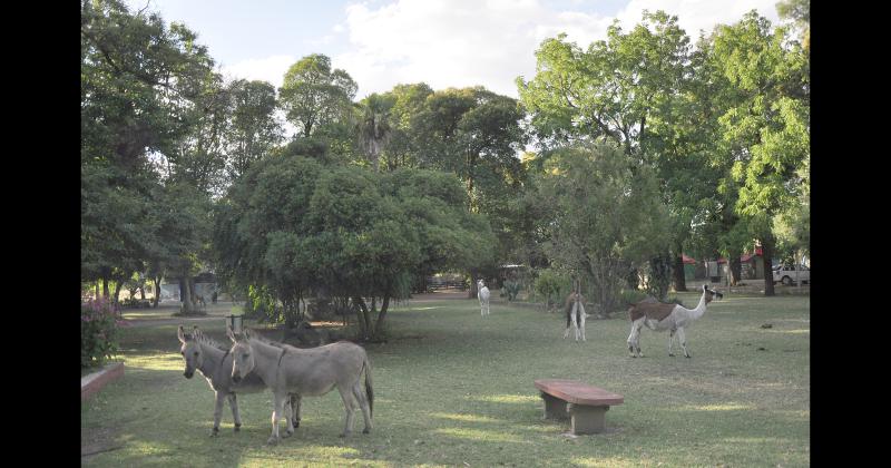 El Bioparque Municipal La Máxima, el "faro verde" de la ciudad de Olavarría