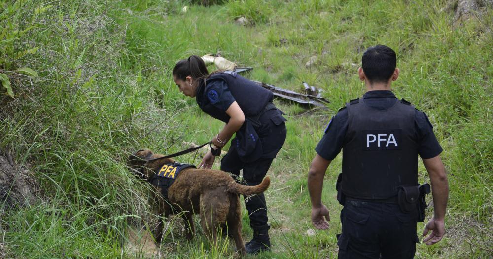 Detuvieron a Walter Gallastegui, el hombre capturado con gran cantidad de cocaína