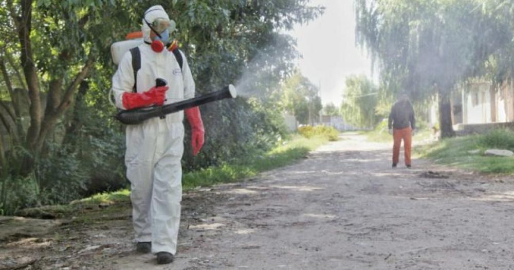La provincia investiga un posible brote de chikungunya: hay tres casos autóctonos