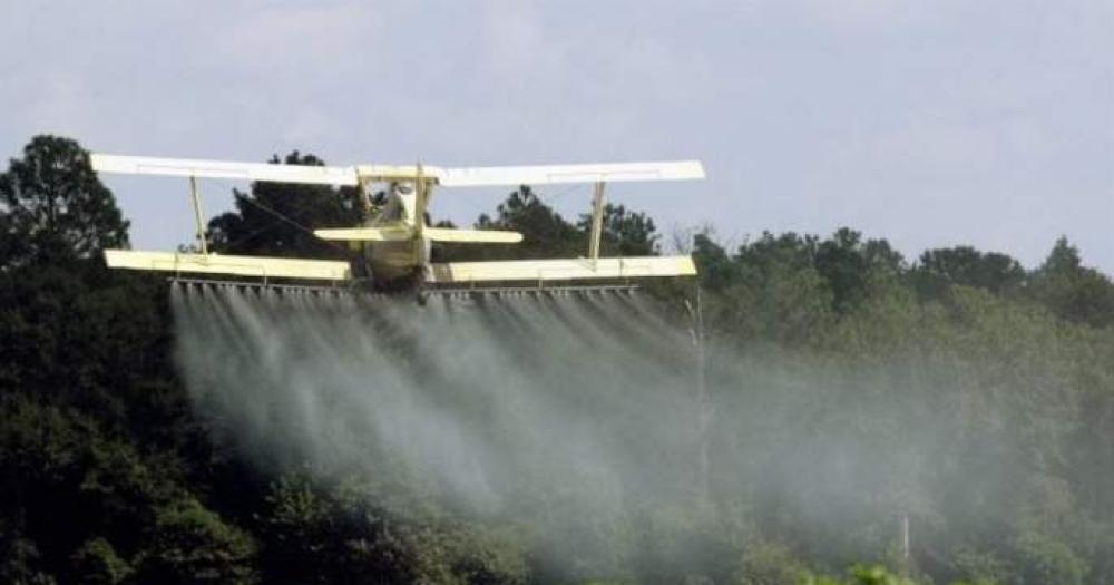 Un nuevo fallo judicial le pone un freno a los agrotóxicos