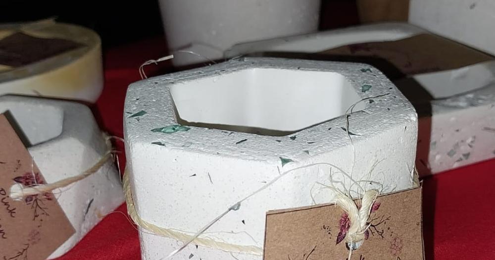 La belleza de lo simple, reflejada en una maceta