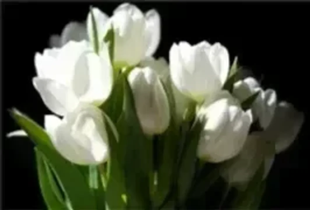 Roberto Oscar Cabrera  “Piti”  (Q.E.P.D.)