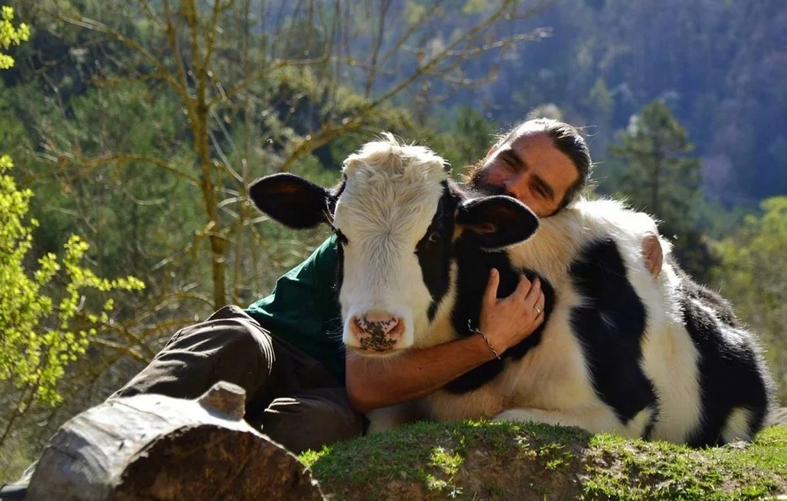 Celebra el Día Mundial del Veganismo en Miami con SoBe Vegan