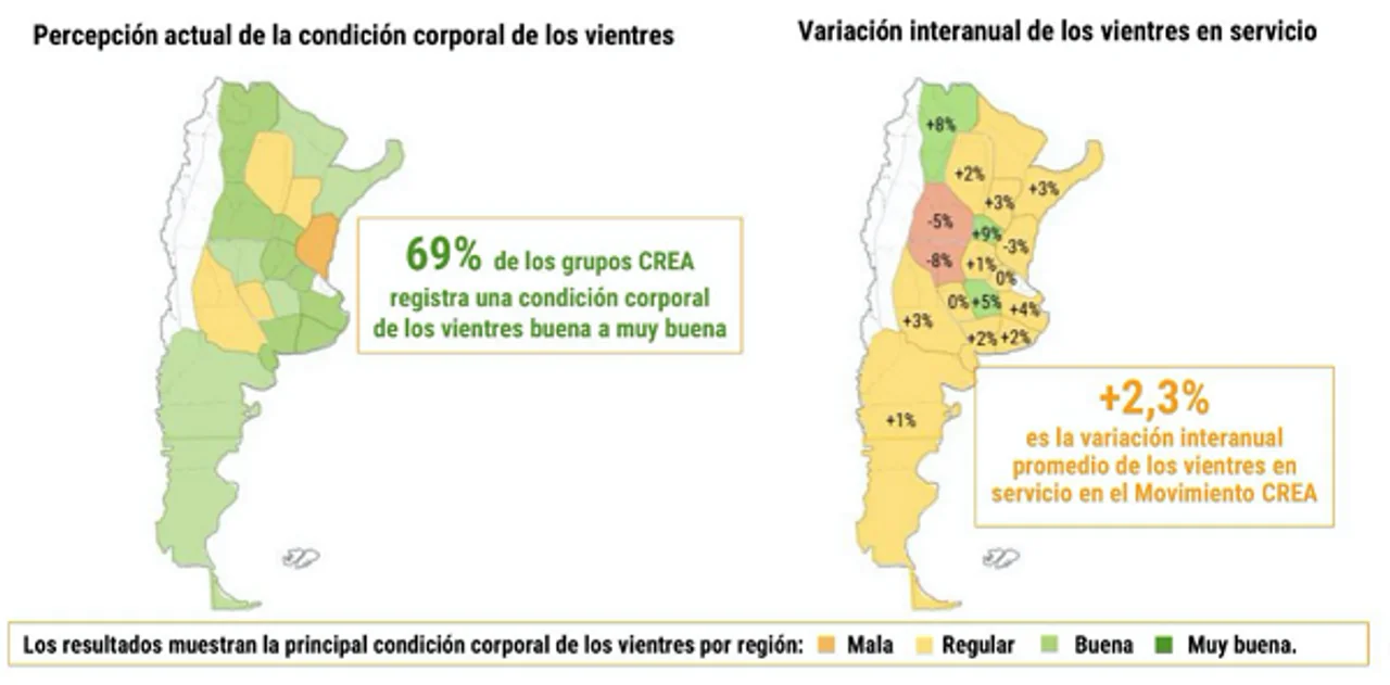 Impacto de la sequía en la producción agropecuaria en Argentina: Resultados de la encuesta CREA