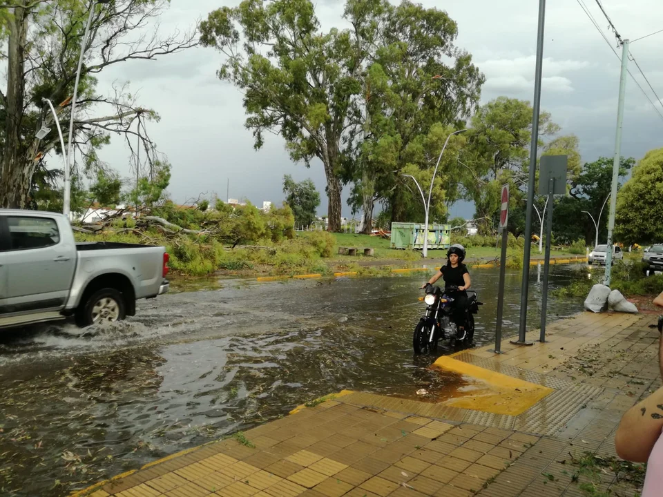 Temporal en Olavarria Galeria de imágenes 