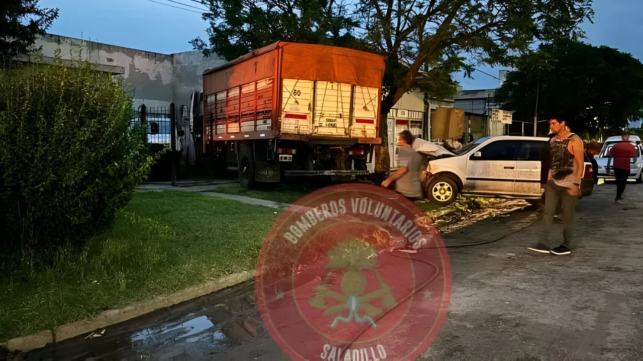 Conductor de camión sufre ataque de epilepsia en la Ruta 205: impactante accidente y consecuencias