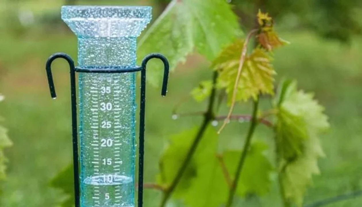 Alerta amarilla por tormentas en Olavarría: se esperan entre 30 y 60mm de lluvia