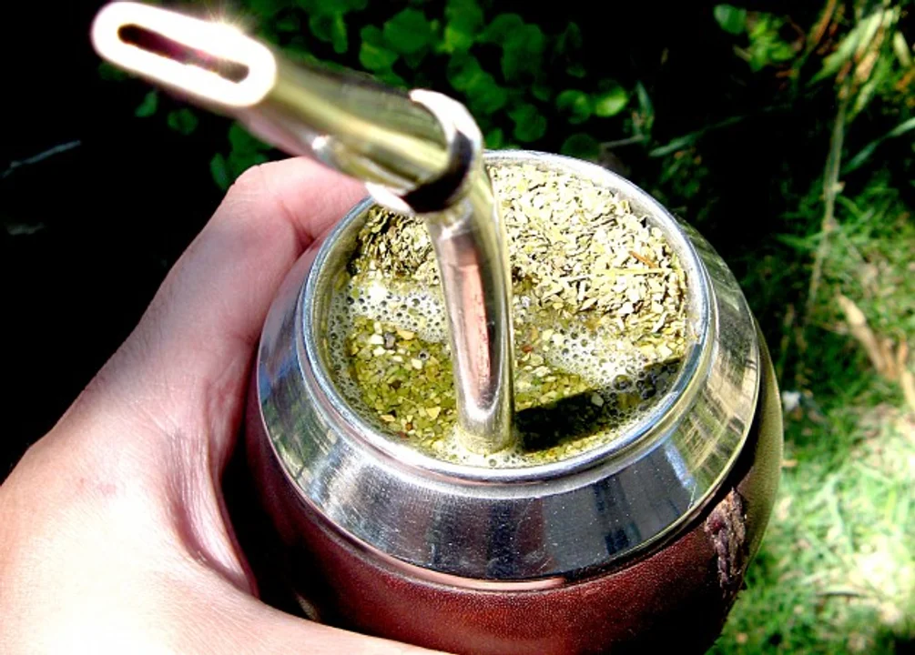 Los Secretos del Mate: Beneficios y Precauciones