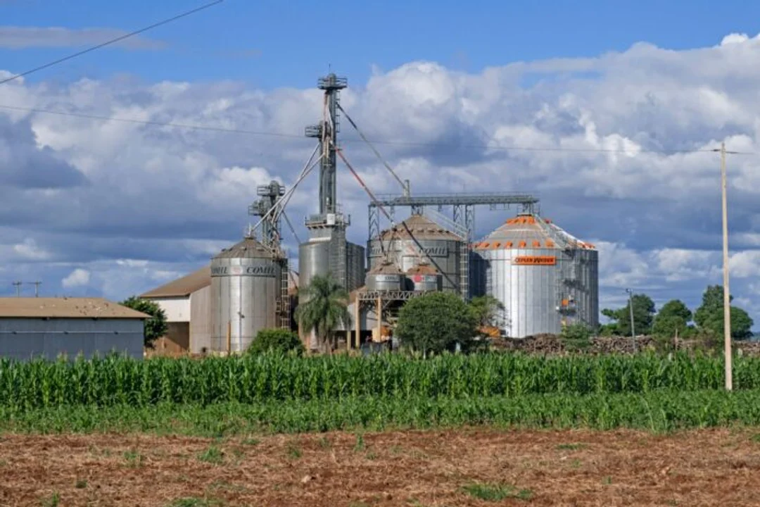 PyMES de Biocombustibles Advierten Contra Intento de Favorecer a Grandes Aceiteras