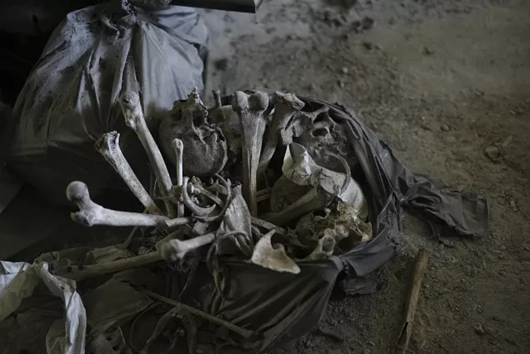 Hallazgo macabro en cementerio de La Plata: más de 500 ataúdes y 200 bolsas con restos mortales abandonados