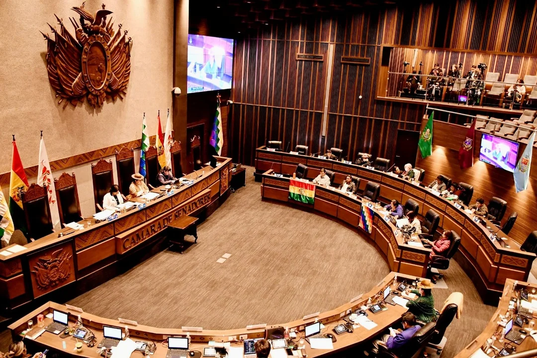 Comisión del Senado Aprueba Créditos por $us 113,2 Millones para Proyectos Carreteros