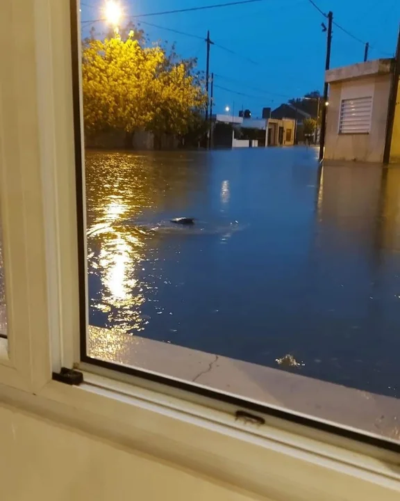 Lluvia de Olavarría 18/3/24 Galería de imagenes