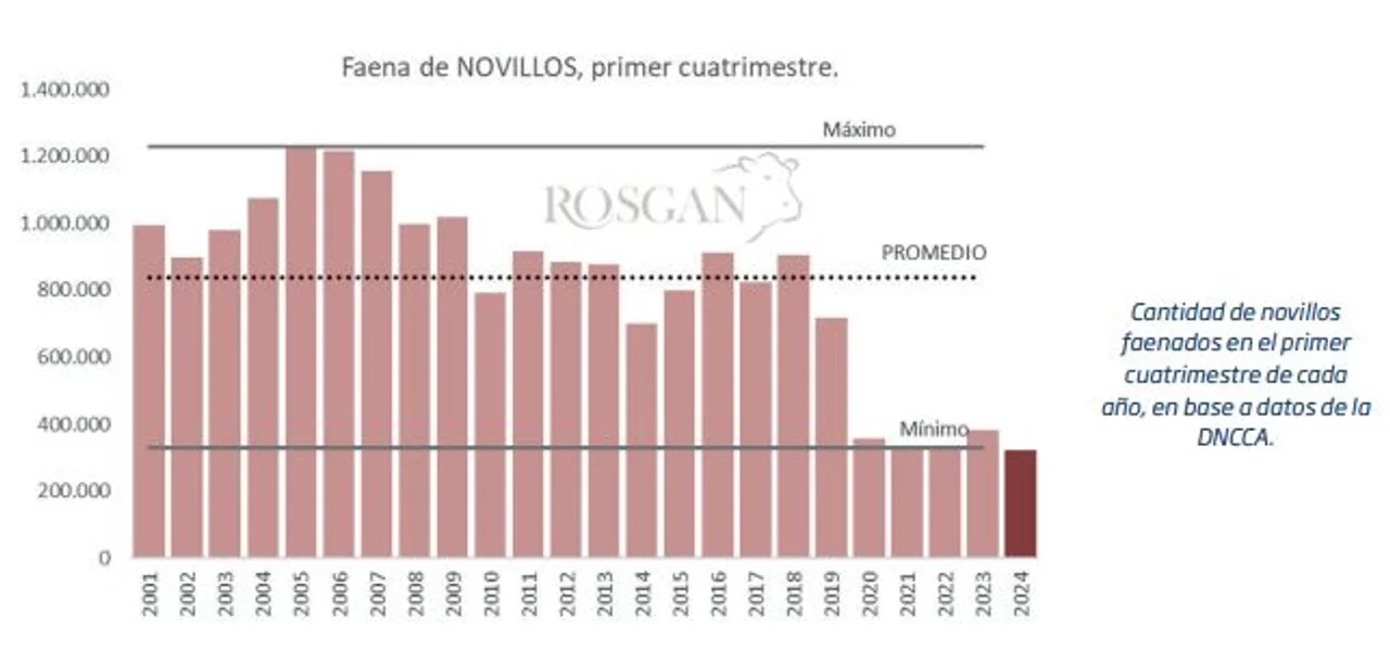 Disminución en la faena de novillos afecta a la exportación