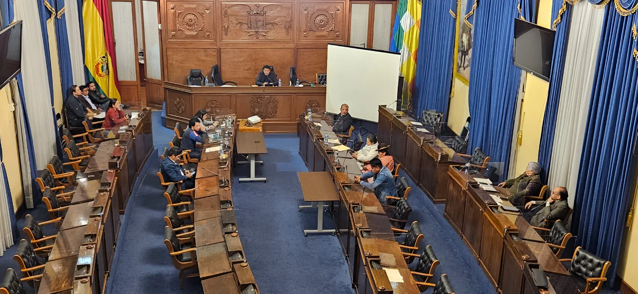 Reunión clave de comisiones mixtas para avanzar en las elecciones judiciales