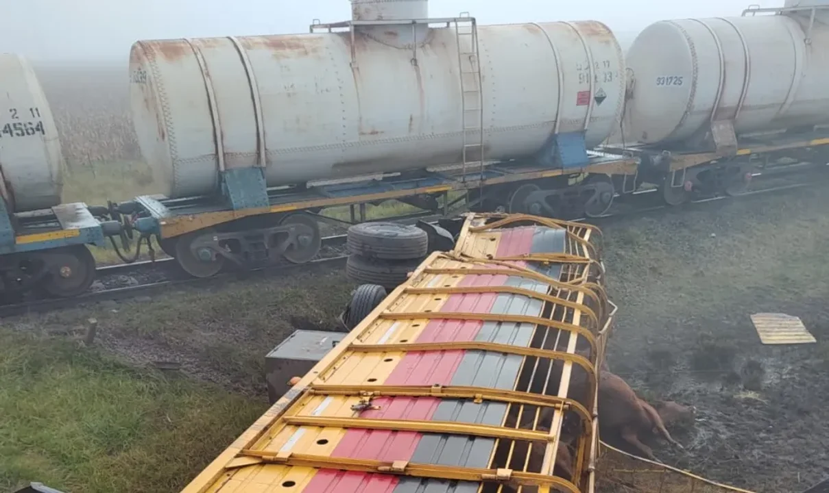 Choque entre un Camión y un Tren Involucra a Olavarrienses en RP N° 51