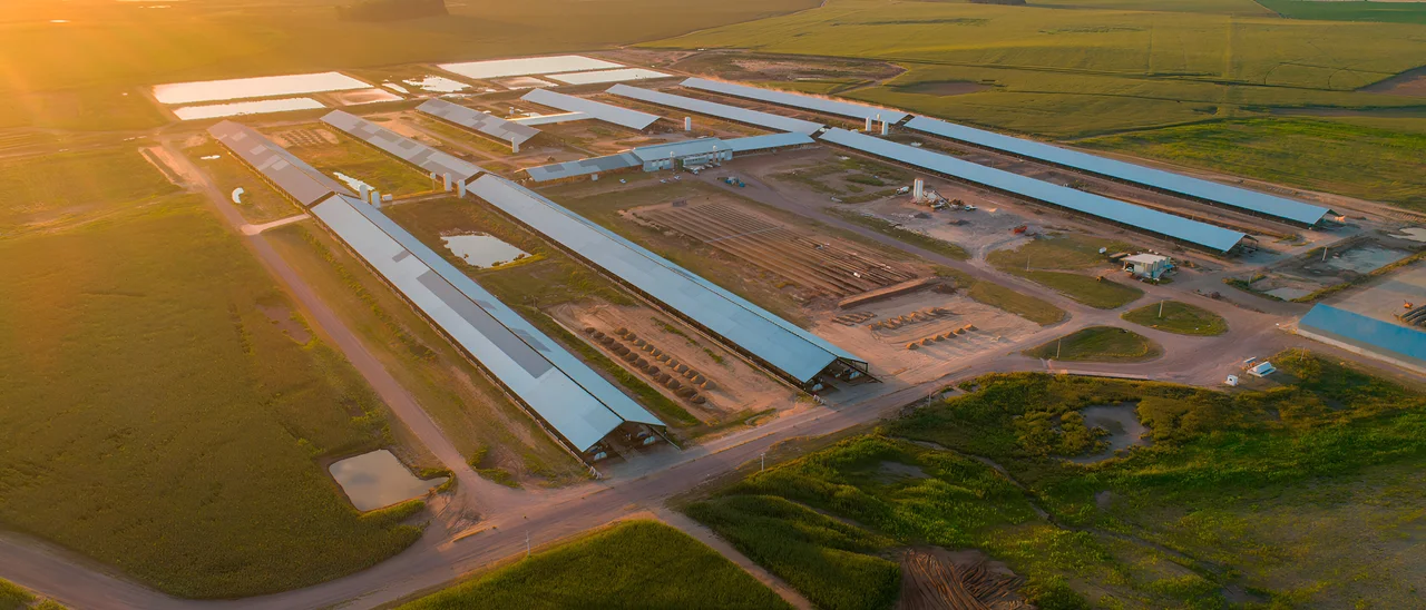 Gigantes del agro: Las claves de Adecoagro, Los Grobo y Adbick para crecer en el campo Argentino