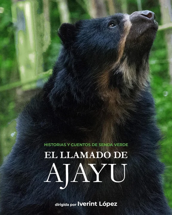 En cartelera hasta el 12 de junio en la Cinemateca Boliviana. 