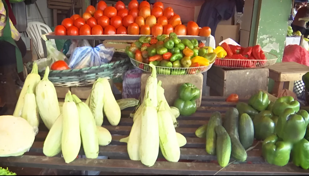 Controles gubernamentales reducen el costo del tomate y la cebolla