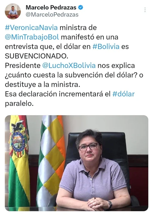 X. Dip. Marcelo Pedrazas
