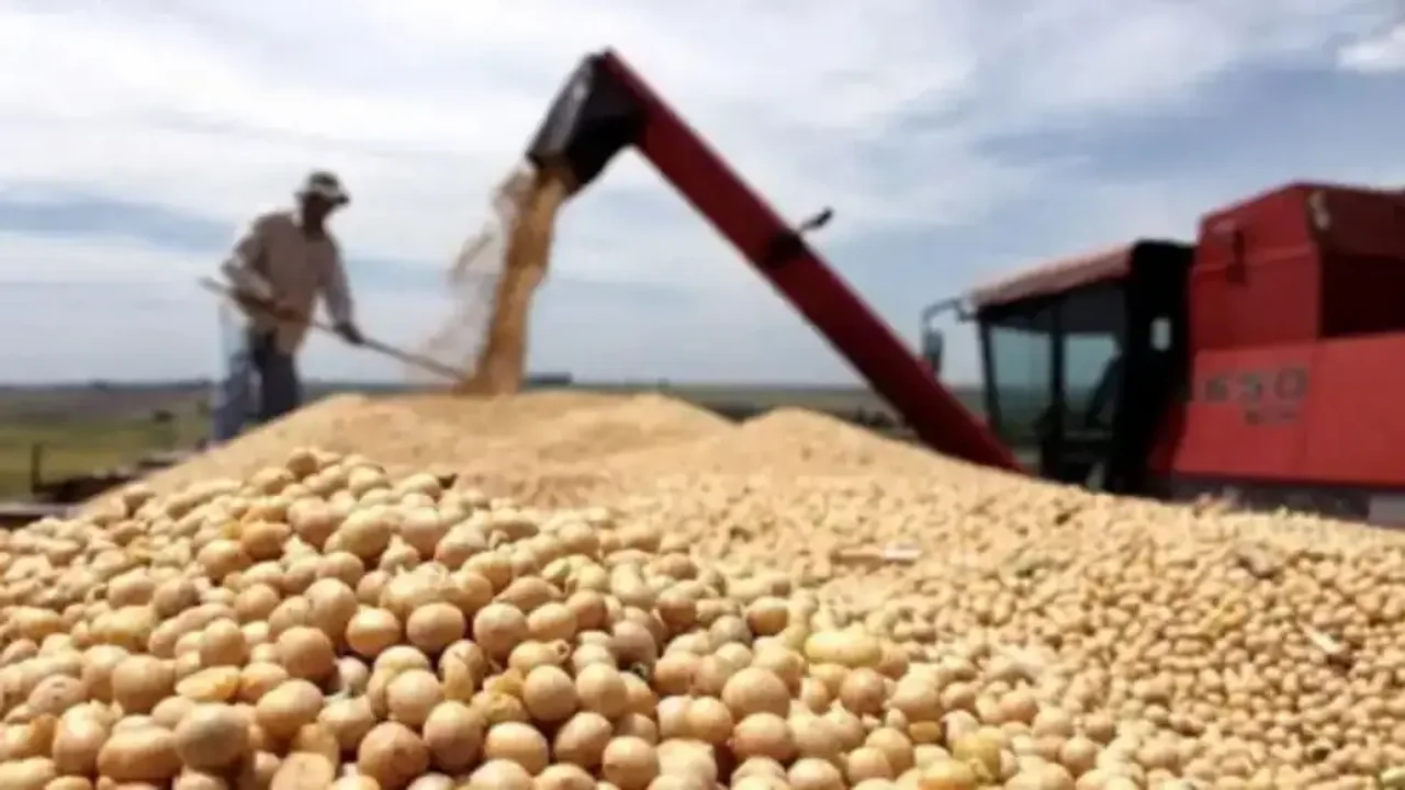 Argentina ya importo 1000 mil millones de dólares en soja.